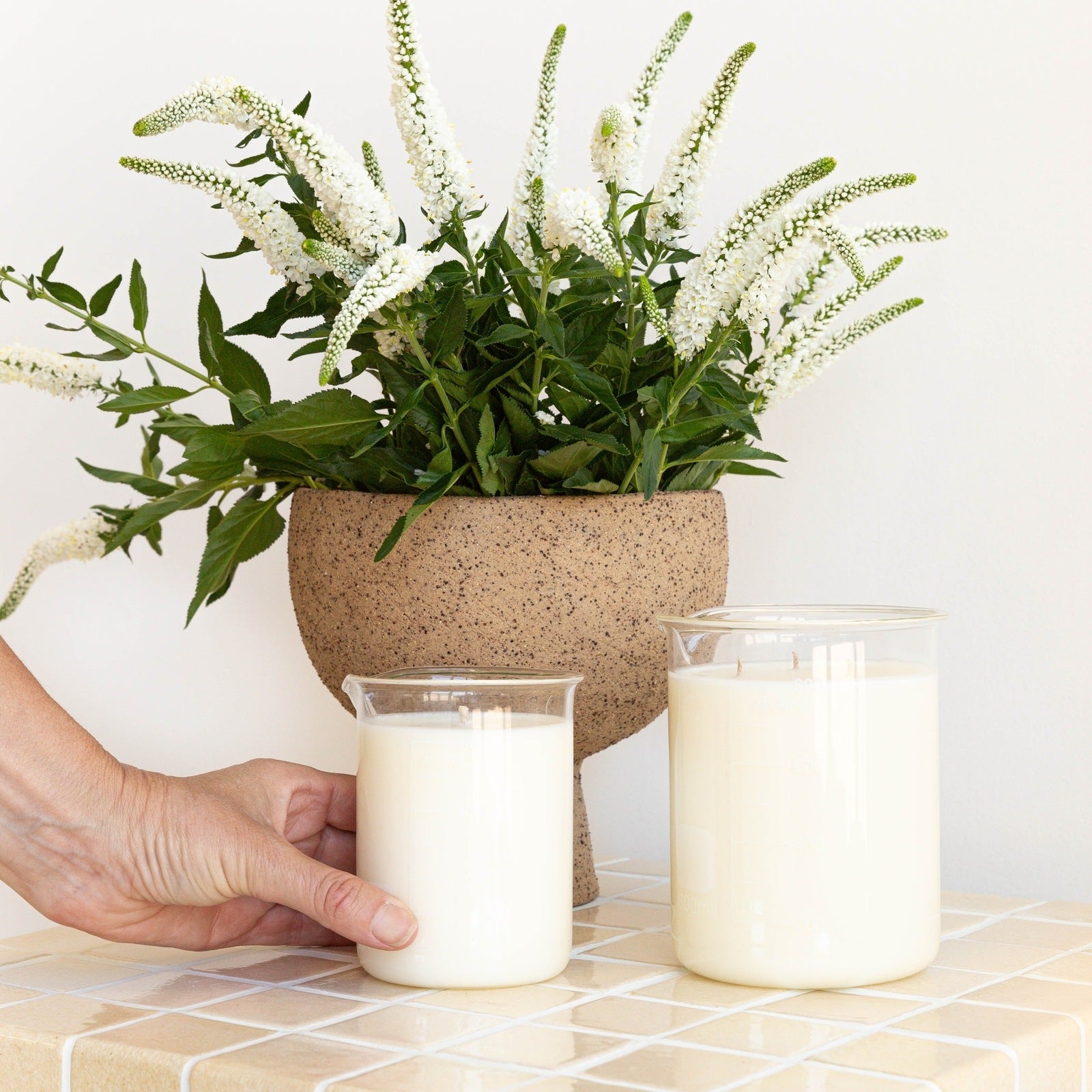 Common Sol Natural Soy Candle 375G