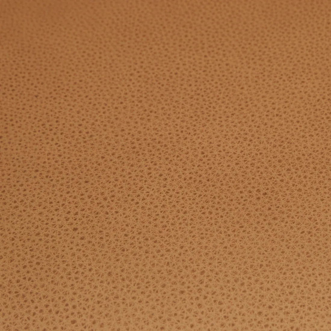 Sketch Pinta Dining Chair