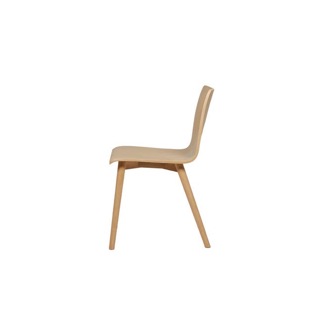 Tami Dining Chair - Coastal Living