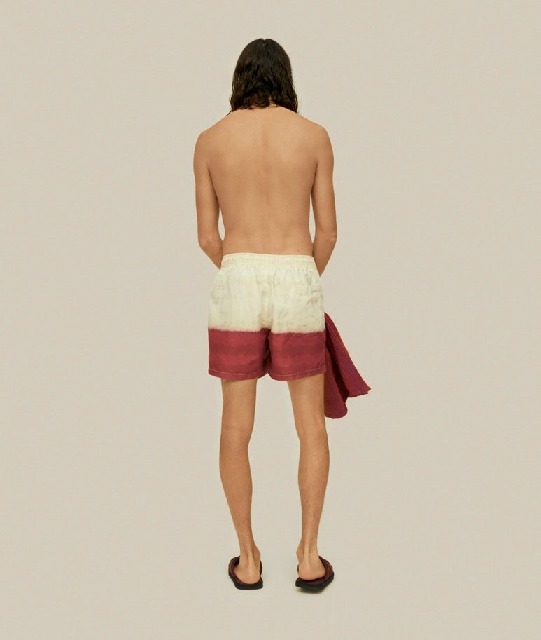Vista Swim Shorts