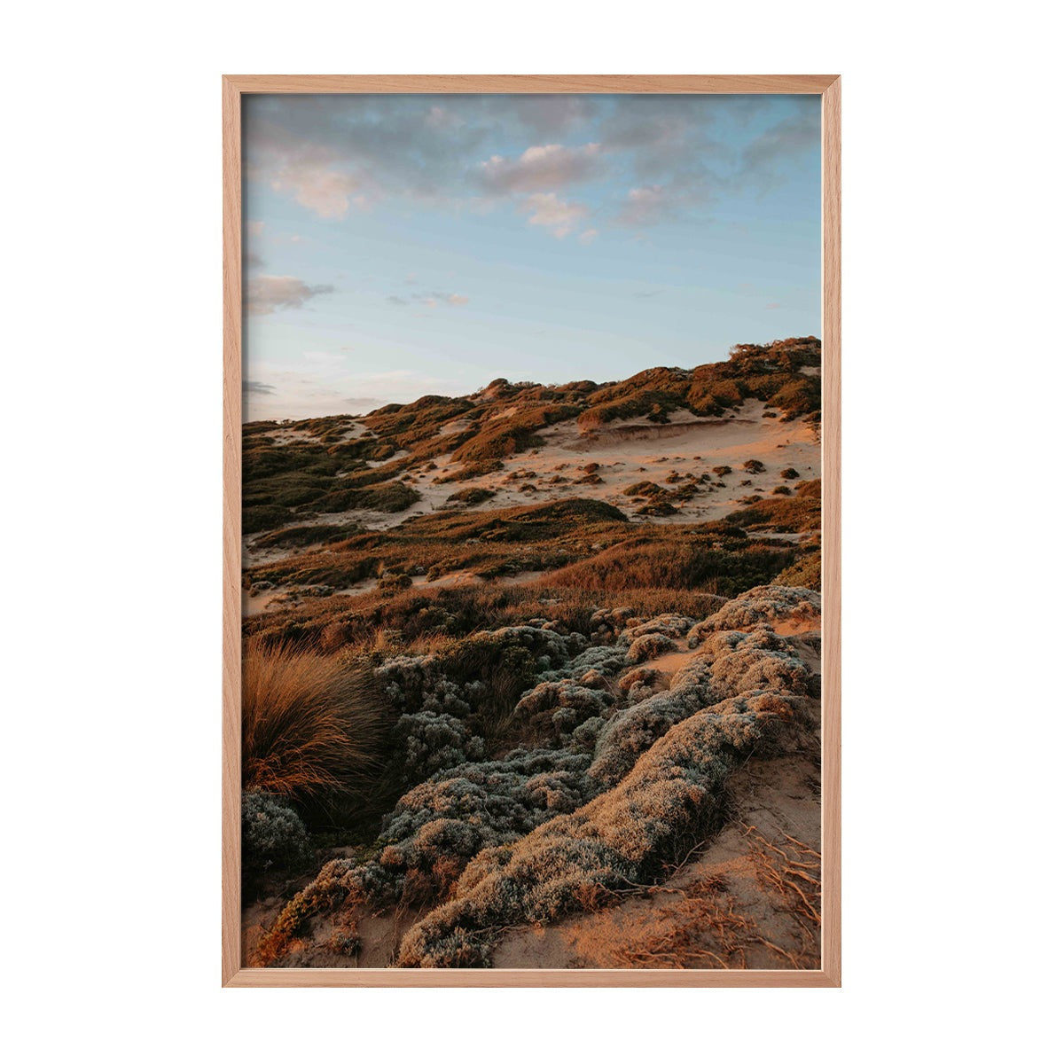 Echidnas Print