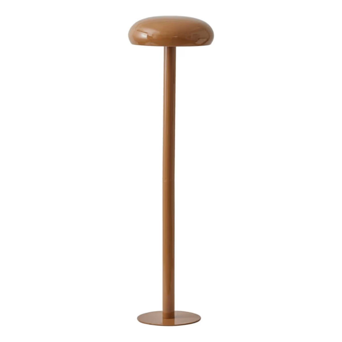 Minimalist Metal Floor Lamp